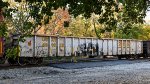 CSX 491029